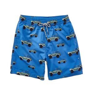 Snapper Rock Mens  Surf Safari Volley Board Short, Blue